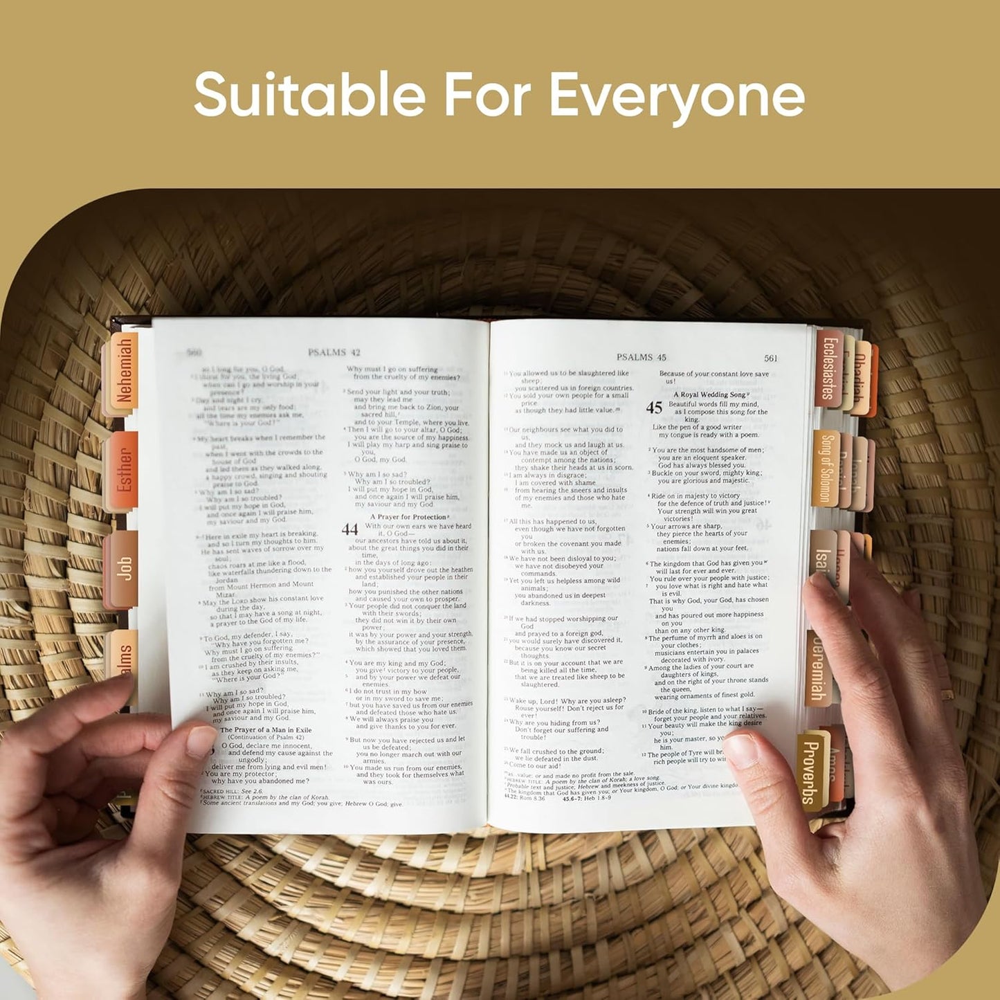 Tab & Verse – Terracotta Solid Color Bible Tabs