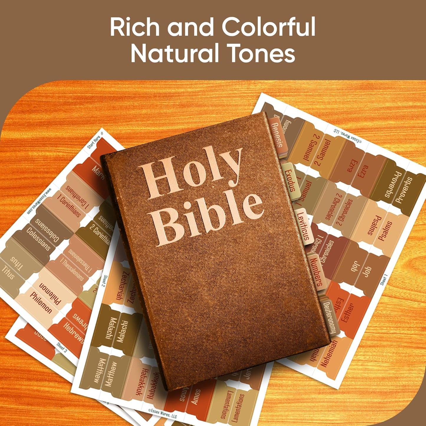 Tab & Verse – Terracotta Solid Color Bible Tabs