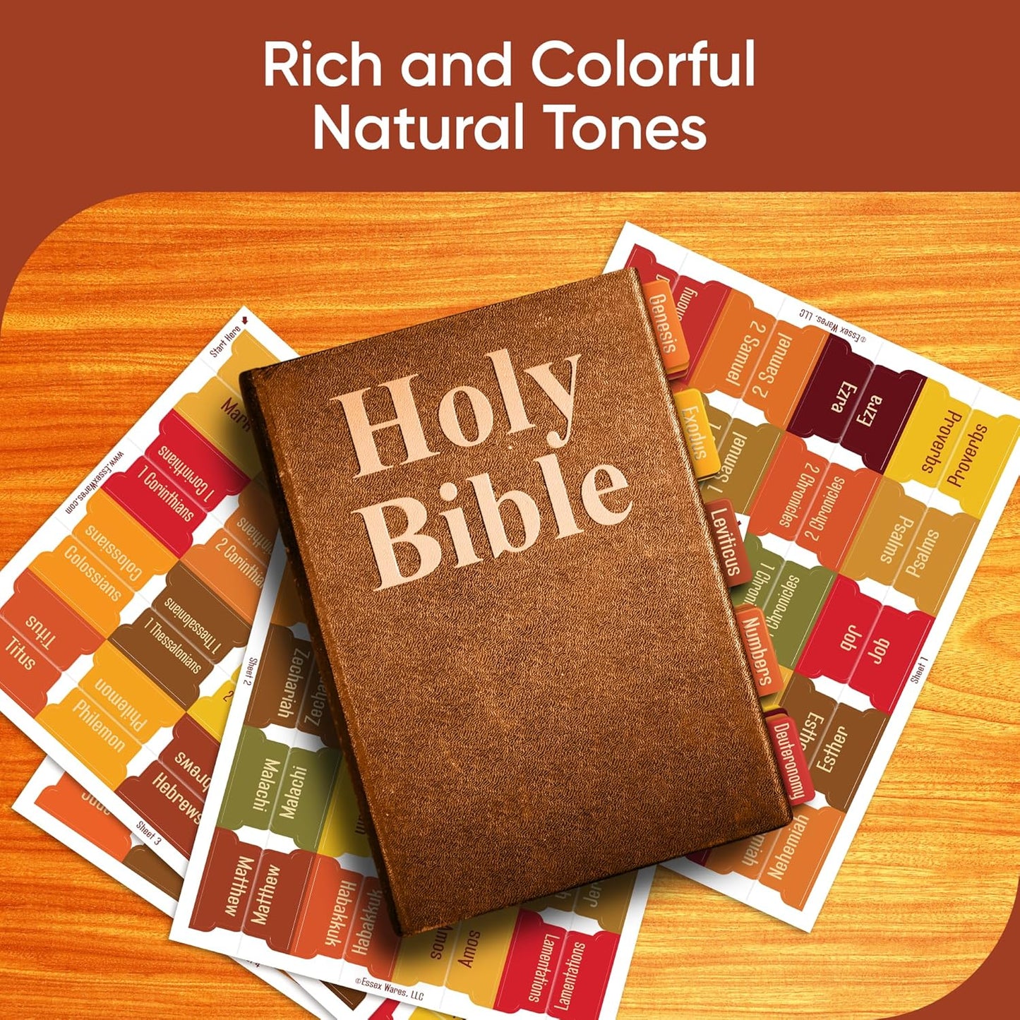 Tab & Verse – Fall Solid Color Bible Tabs