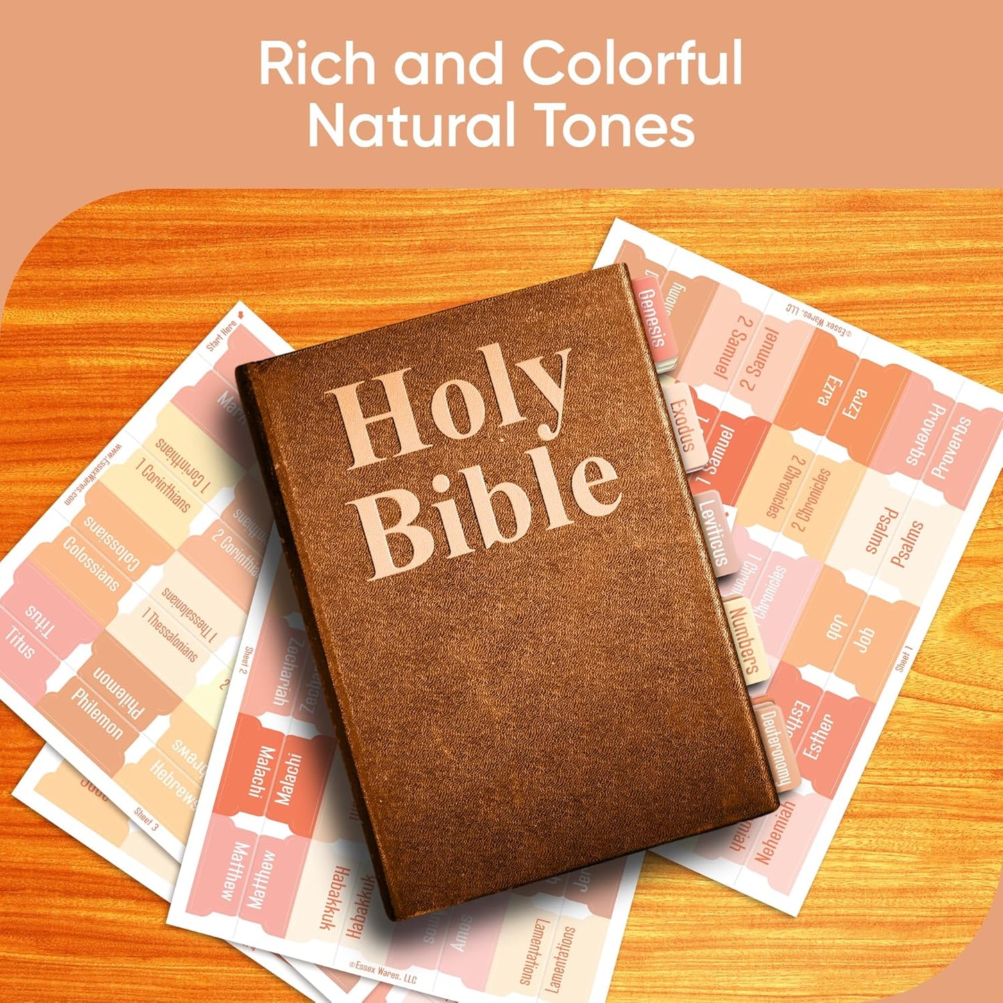 Tab & Verse – Peaches & Cream Solid Color Bible Tabs
