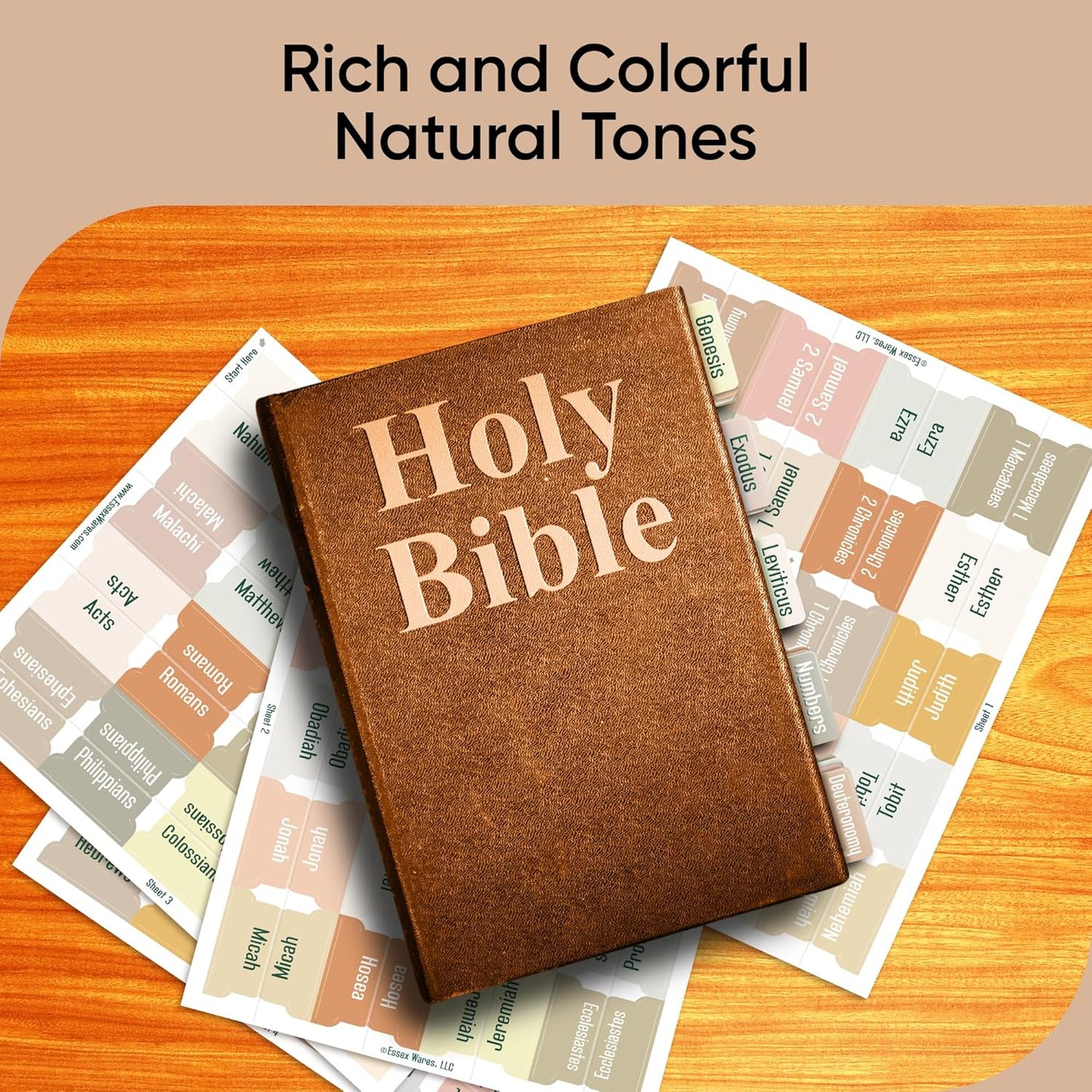 Tab & Verse – Catholic Boho Solid Color Bible Tabs