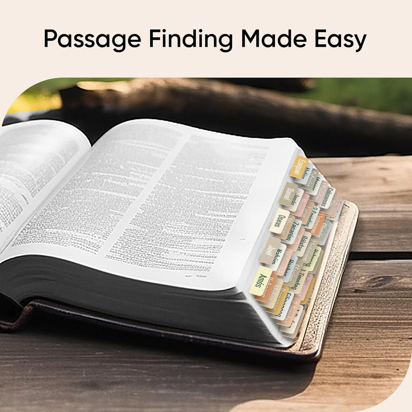 Tab & Verse – Boho Spanish (Not Catholic) Solid Color Bible Tabs