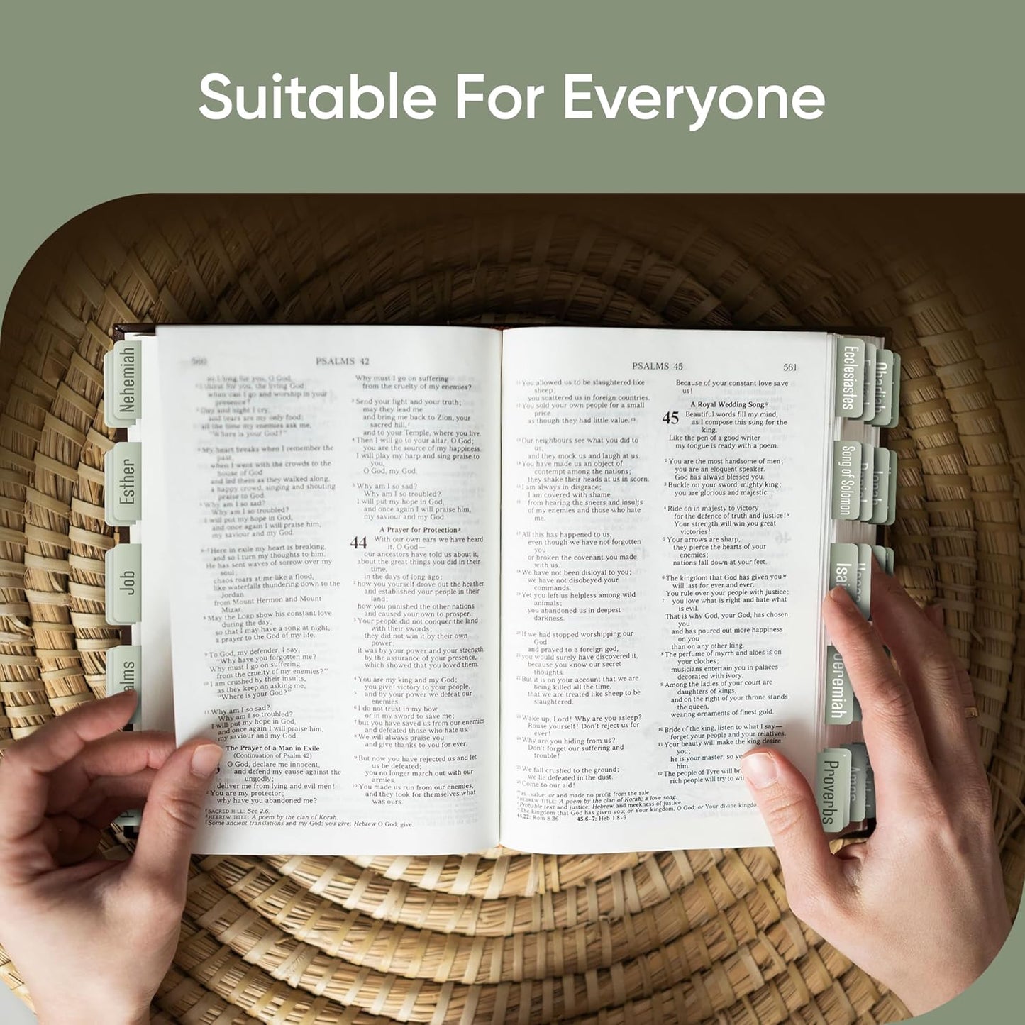 Tab & Verse – Sage Green Solid Color Bible Tabs