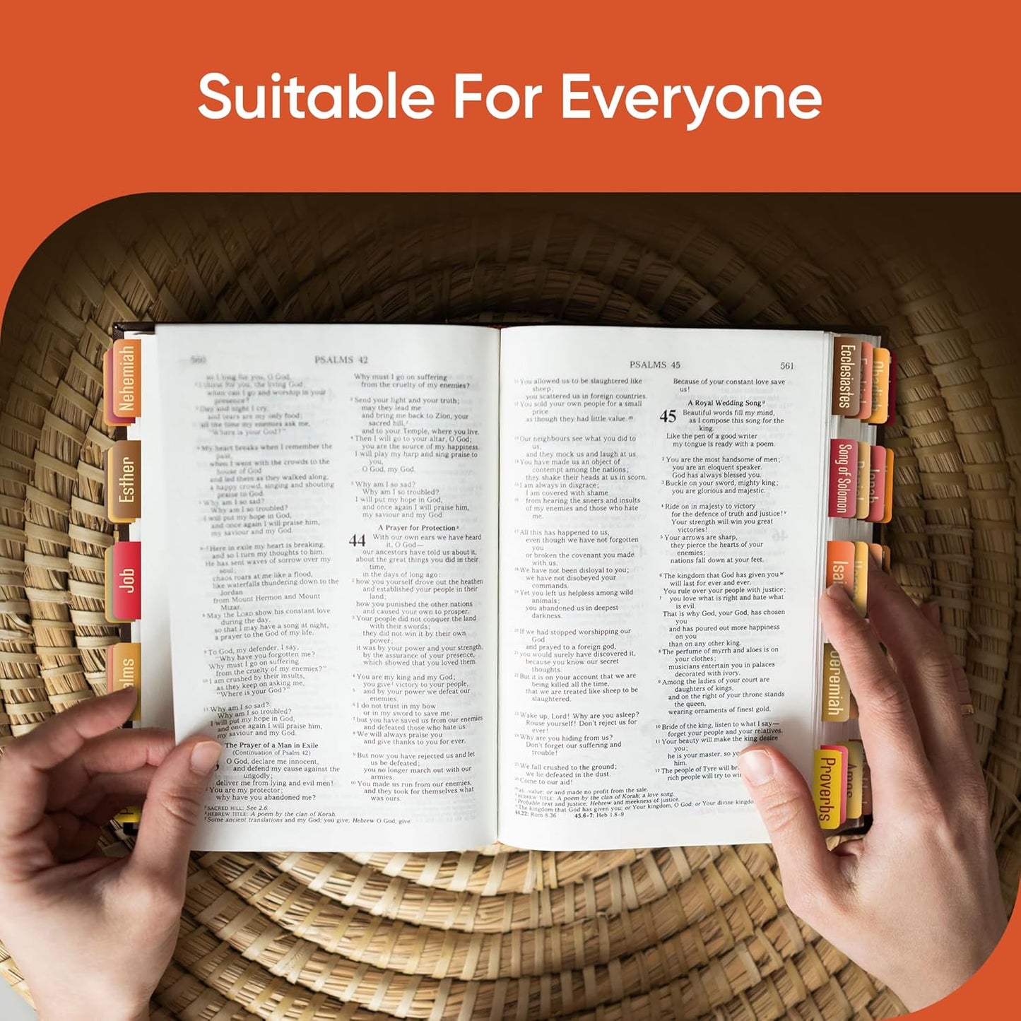 Tab & Verse – Fall Solid Color Bible Tabs