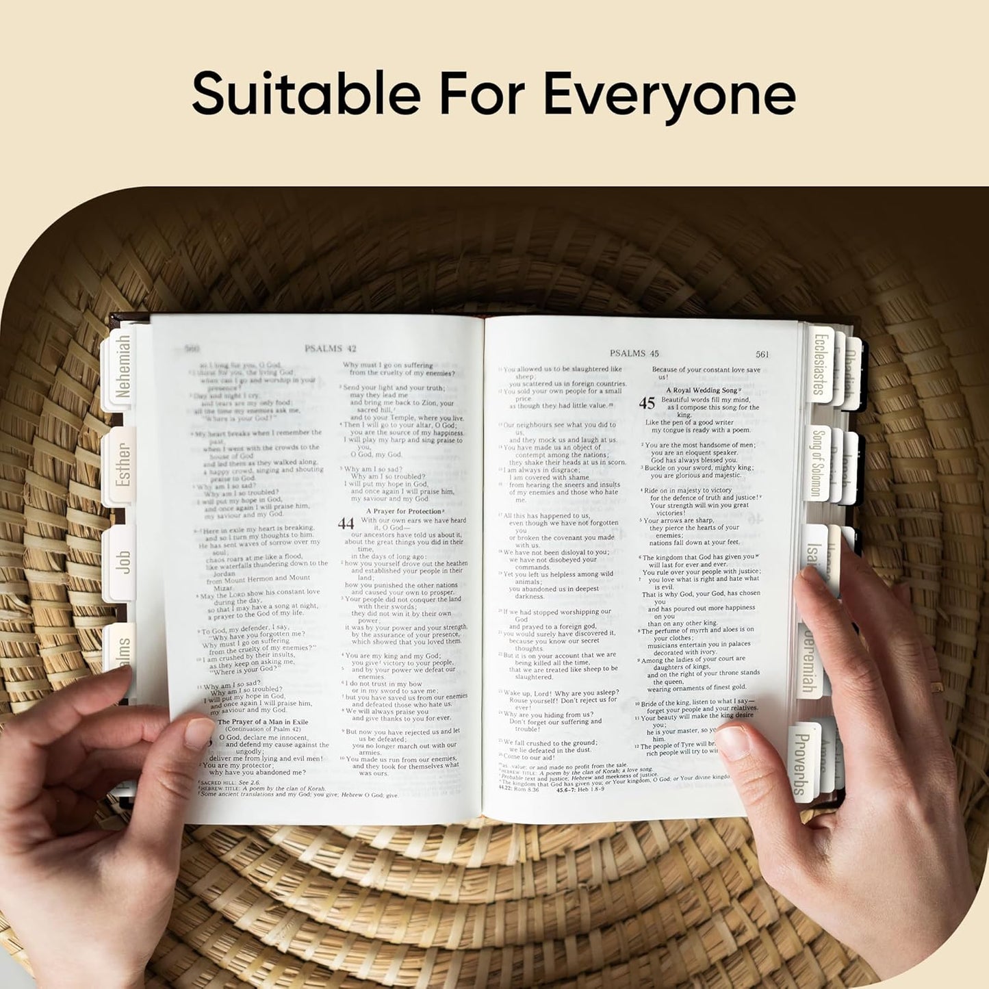Tab & Verse – Porcelain Solid Color Bible Tabs