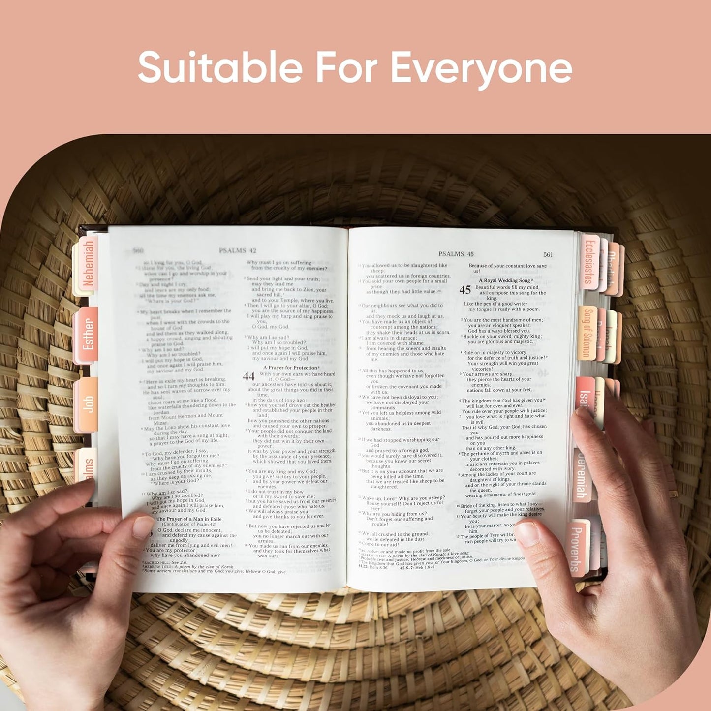 Tab & Verse – Peaches & Cream Solid Color Bible Tabs