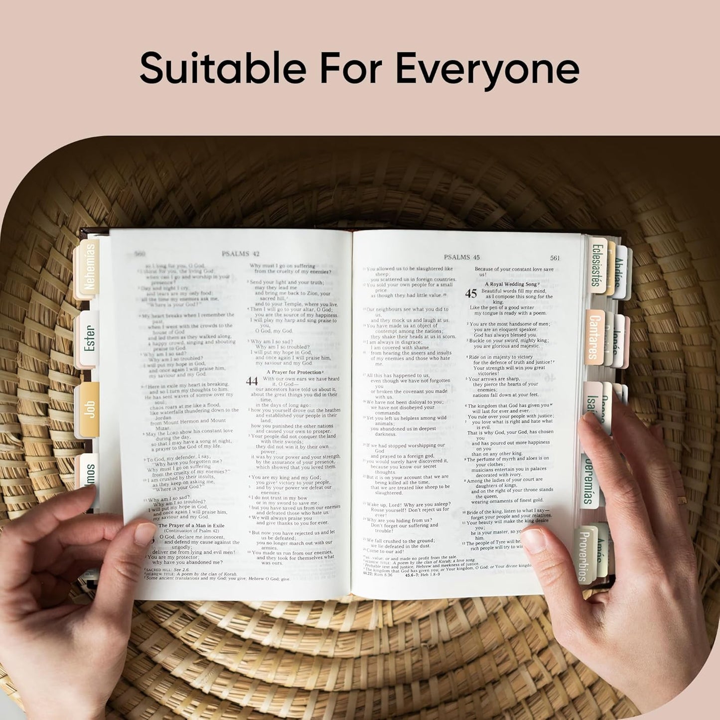 Tab & Verse – Boho Spanish (Not Catholic) Solid Color Bible Tabs