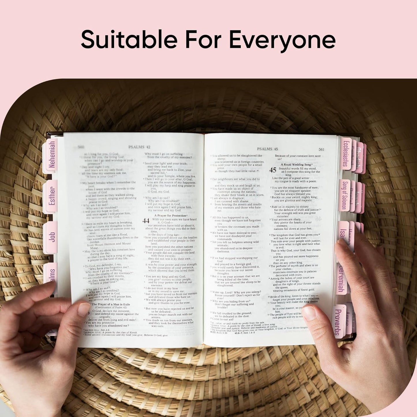 Tab & Verse – Purple & Pink Solid Color Bible Tabs