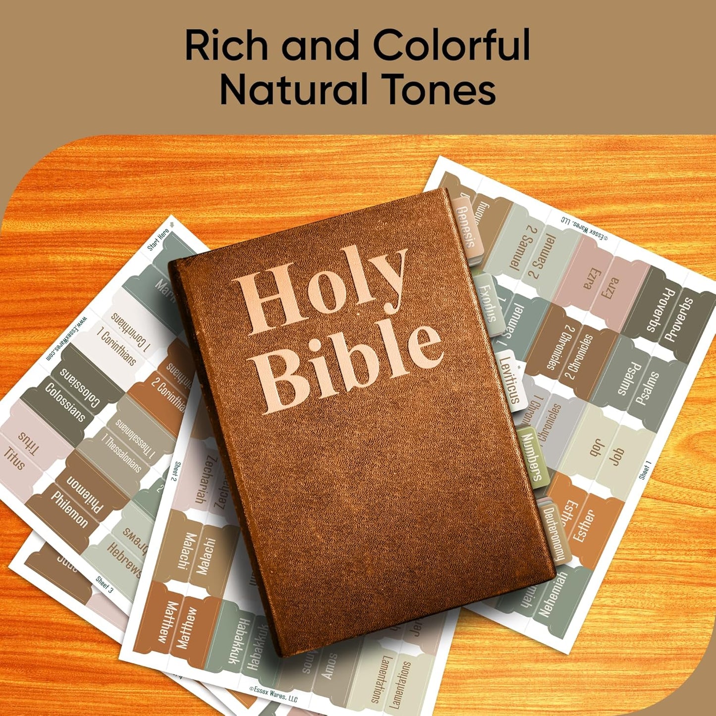 Tab & Verse – Earthy Solid Color Bible Tabs