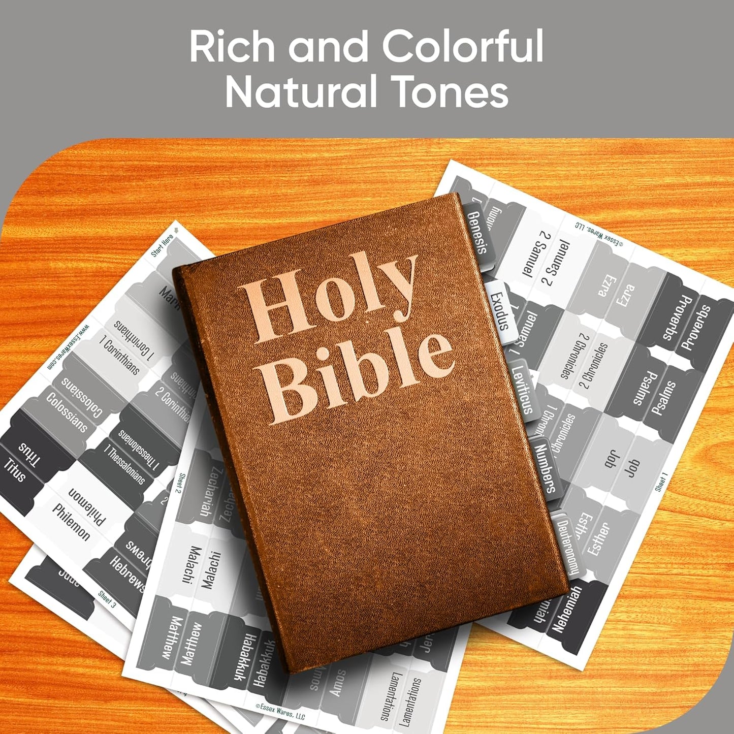Tab & Verse – Gray Solid Color Bible Tabs