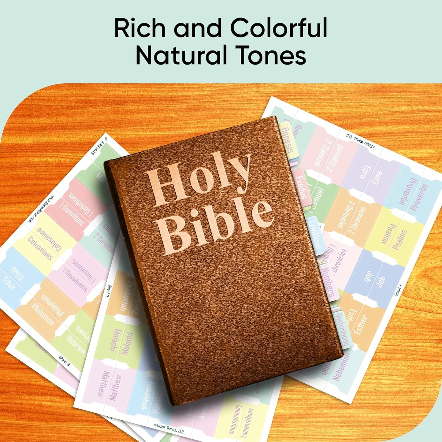 Tab & Verse – Pastels Solid Color Bible Tabs