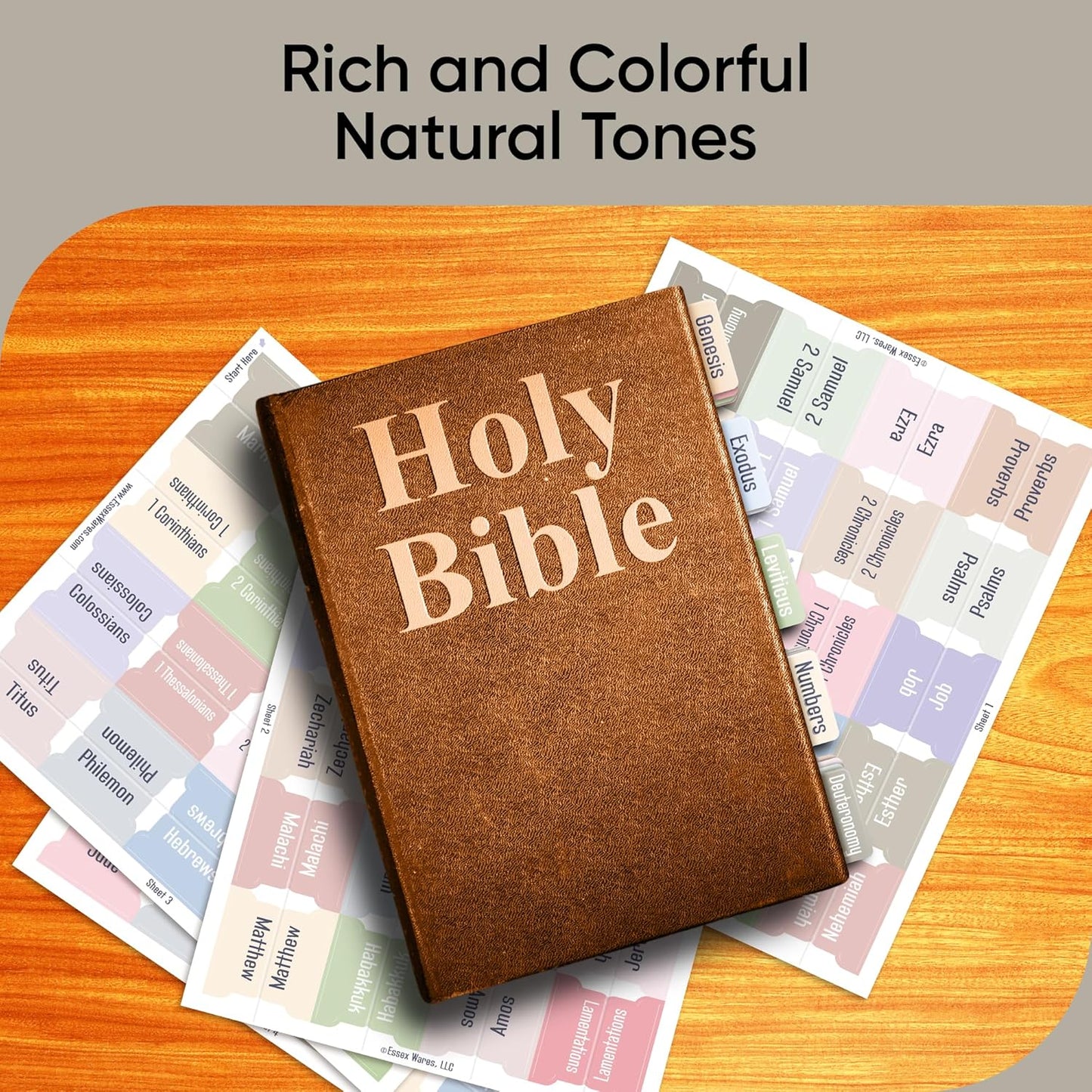 Tab & Verse – Morandi Solid Color Bible Tabs