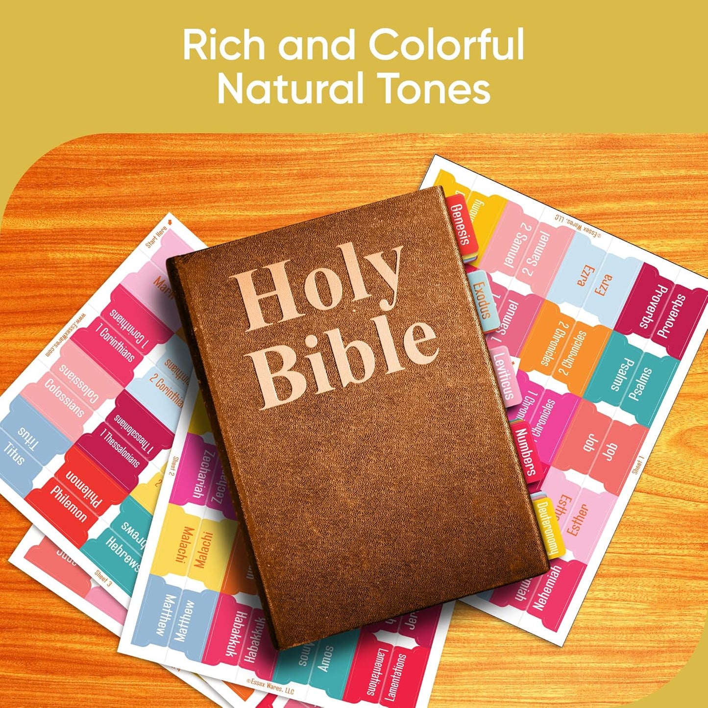 Tab & Verse – Spring Solid Color Bible Tabs