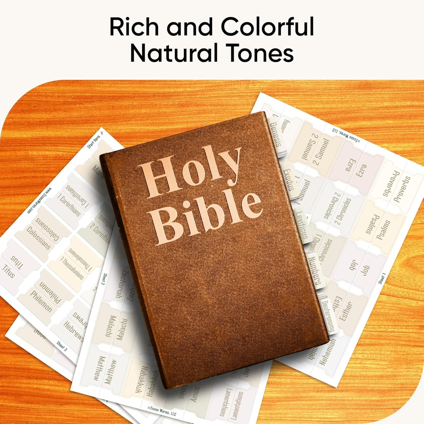 Tab & Verse – Porcelain Solid Color Bible Tabs