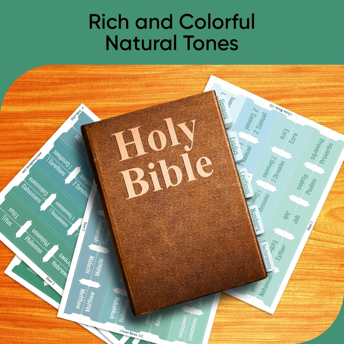 Tab & Verse – Ocean Solid Color Bible Tabs