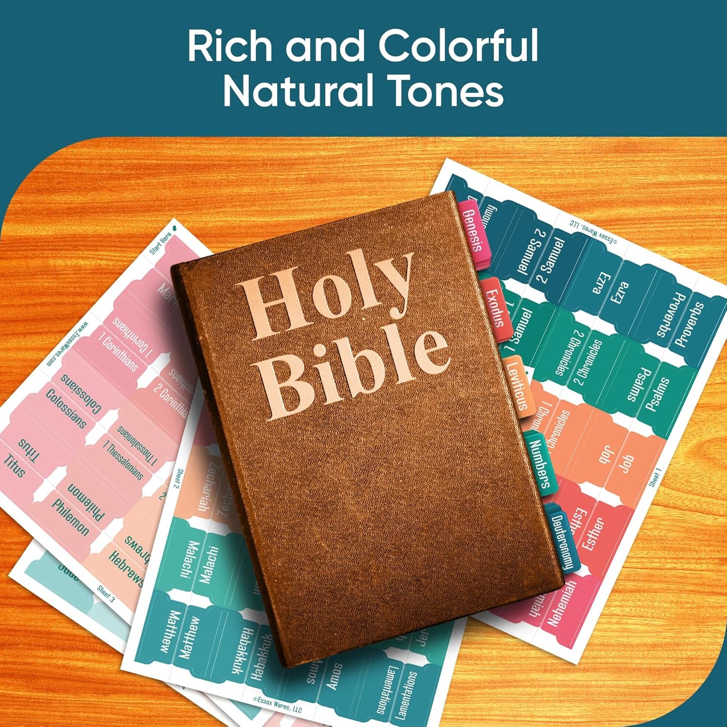 Tab & Verse – Summer Solid Color Bible Tabs