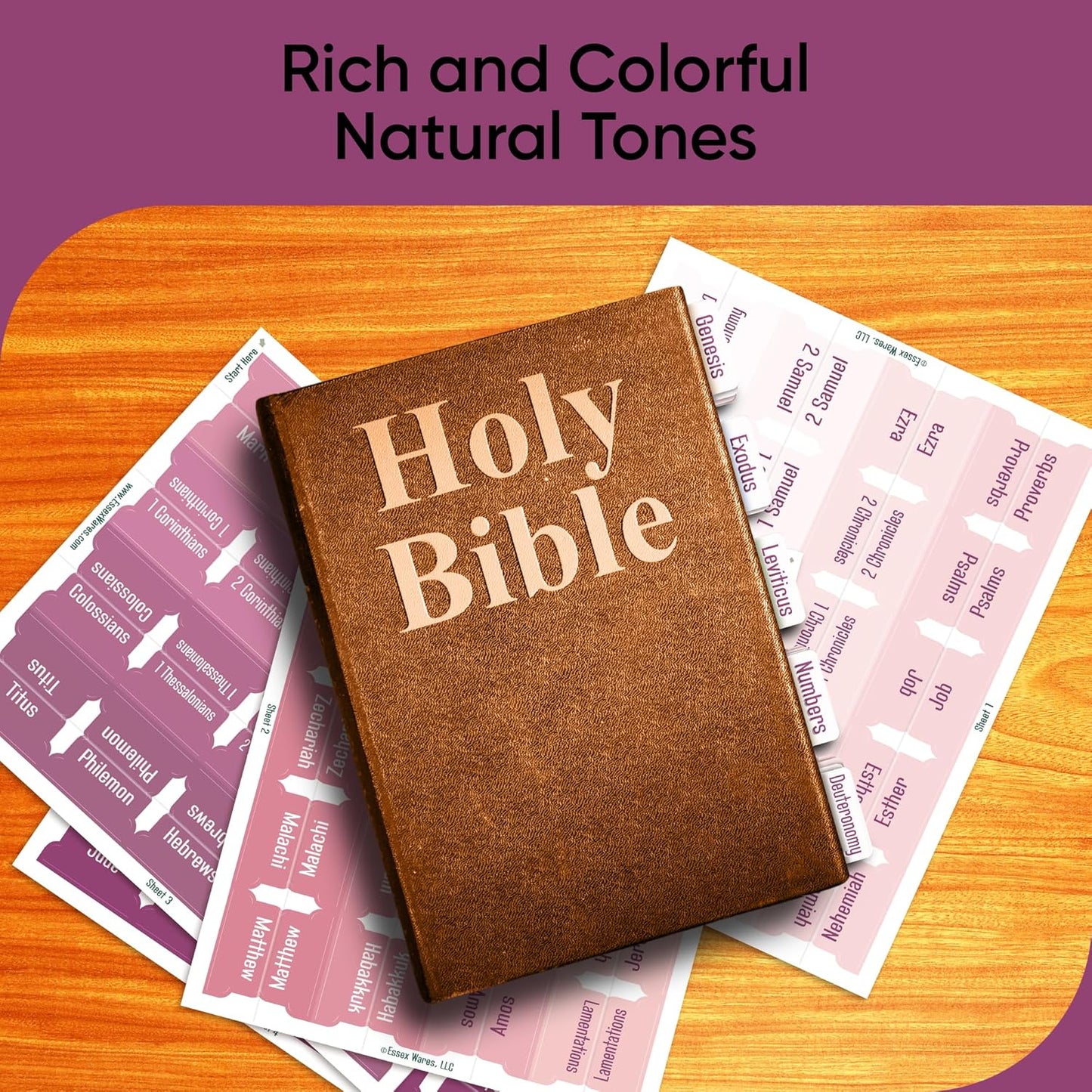 Tab & Verse – Purple & Pink Solid Color Bible Tabs
