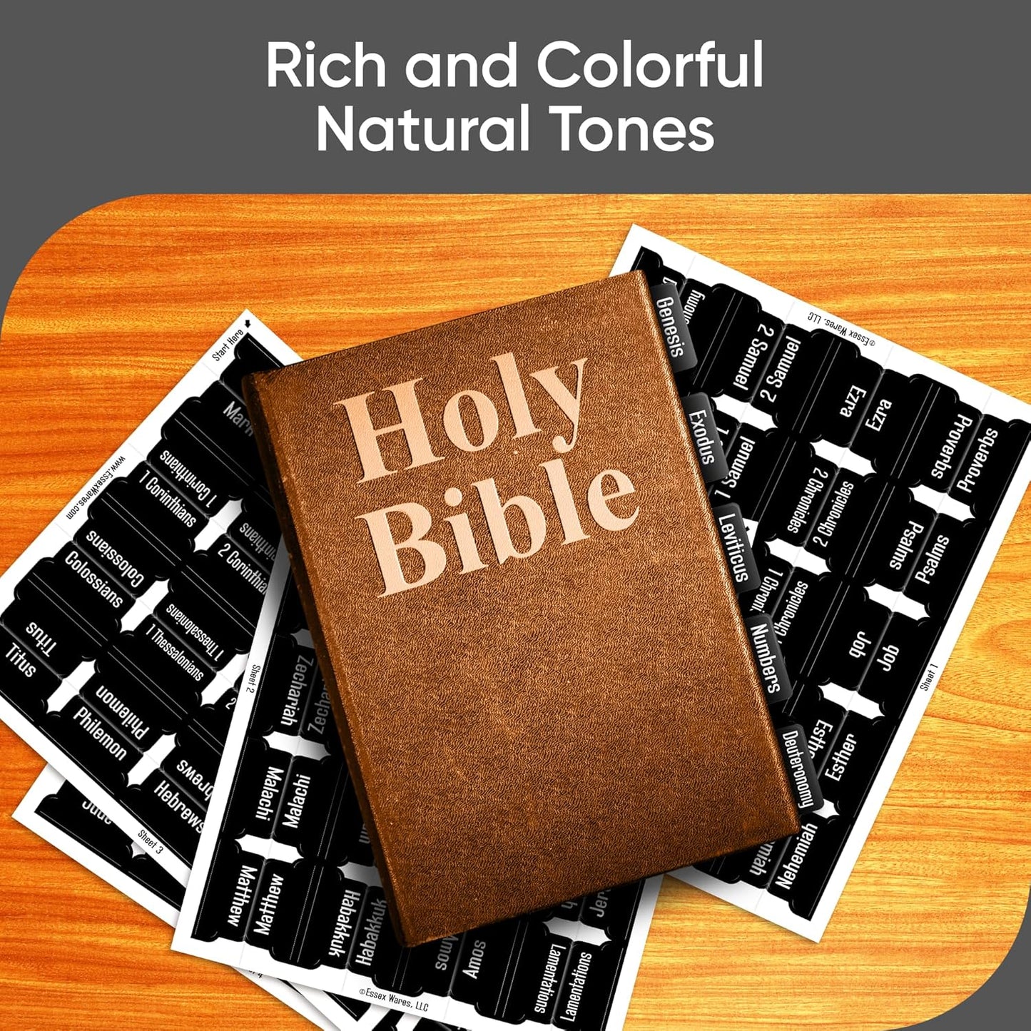 Tab & Verse – Black Solid Color Bible Tabs