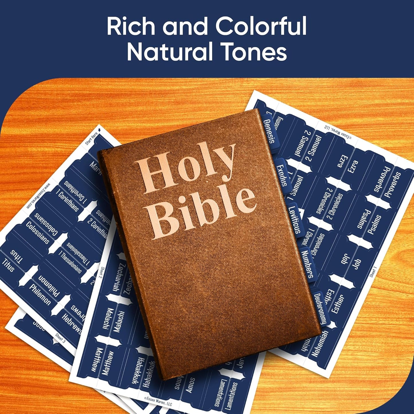 Tab & Verse – Navy Blue Solid Color Bible Tabs