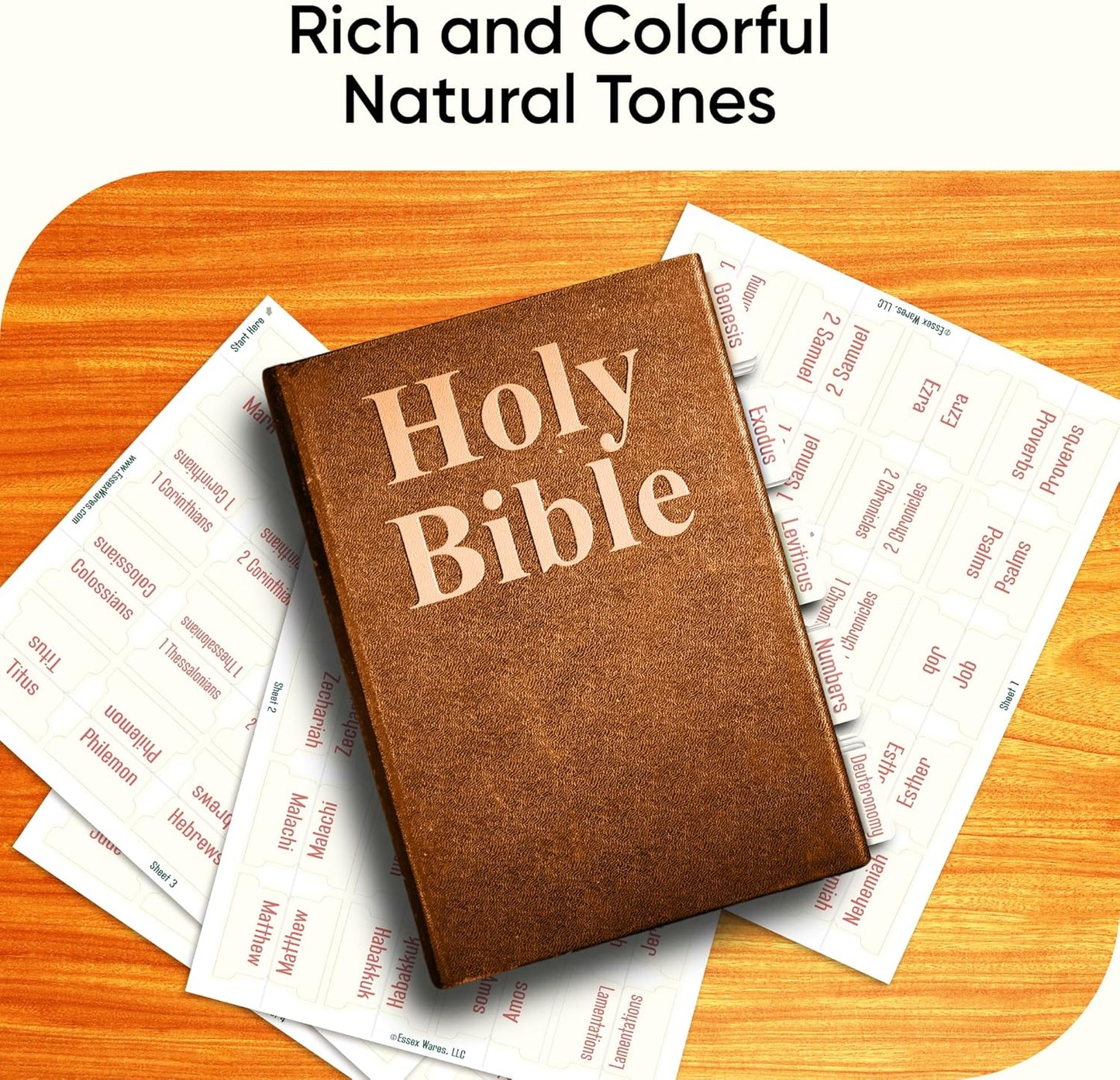 Tab & Verse – Ivory Solid Color Bible Tabs