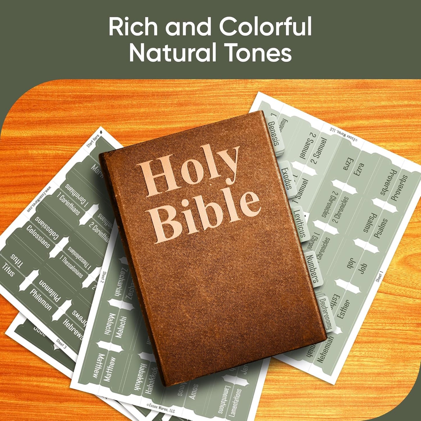 Tab & Verse – Sage Green Solid Color Bible Tabs