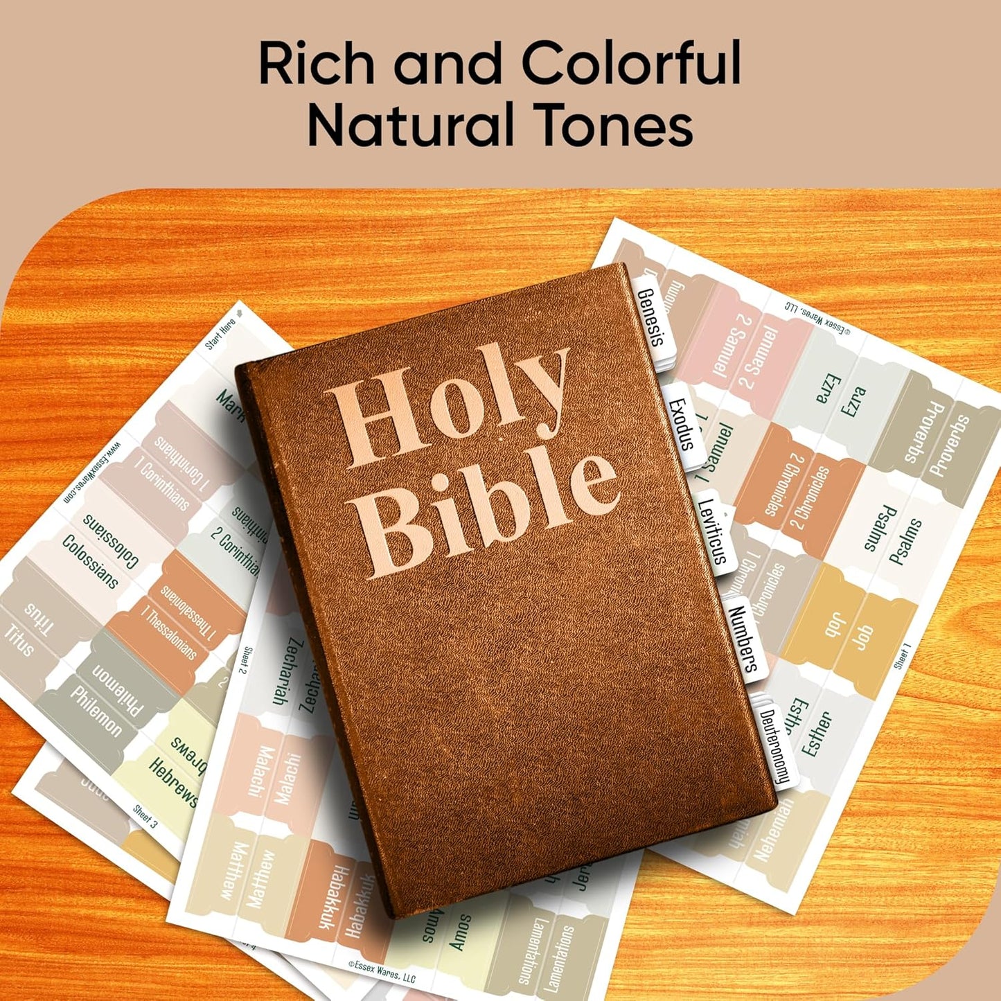 Tab & Verse – Boho Solid Color Bible Tabs
