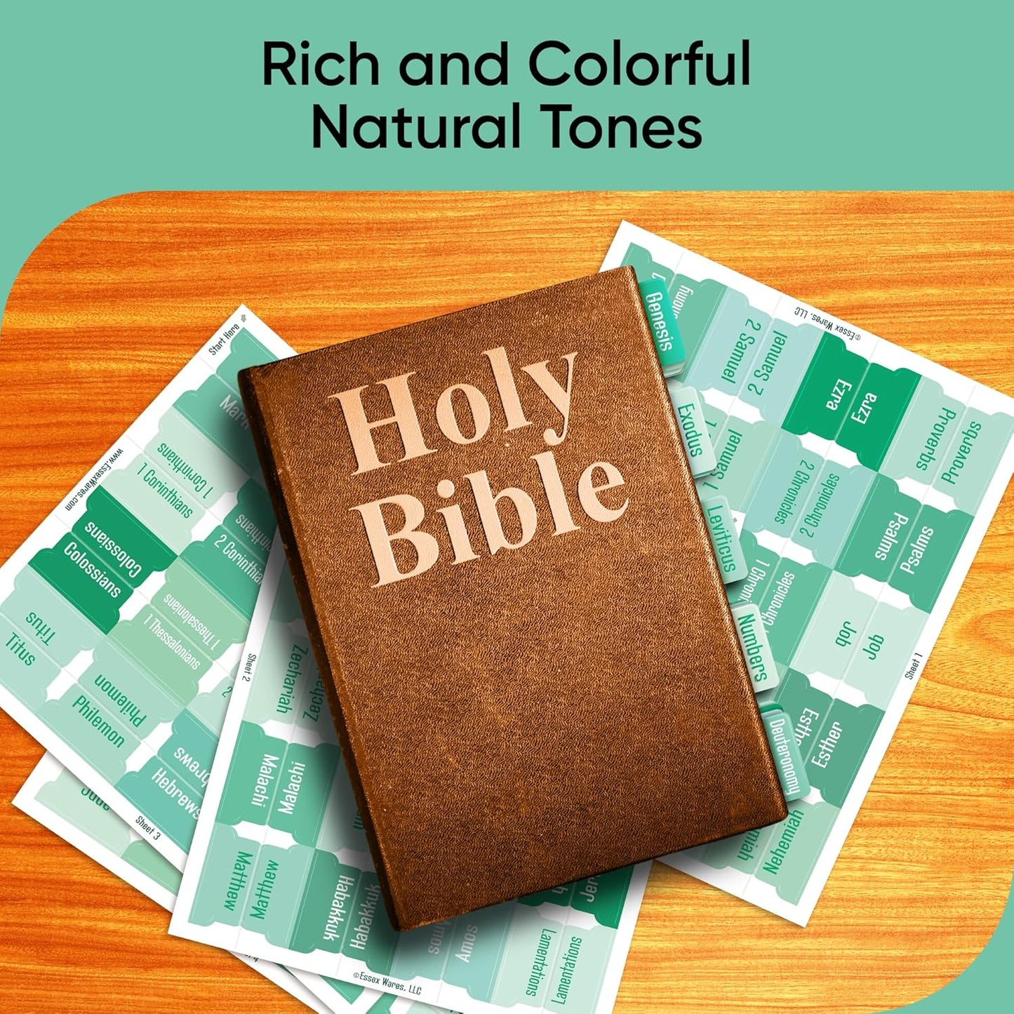 Tab & Verse – Jade Solid Color Bible Tabs