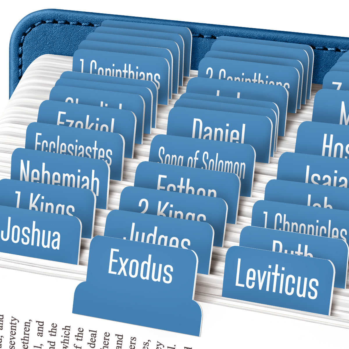 Tab & Verse –  Blue Steel Monochrome Bible Tabs