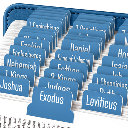 Tab & Verse –  Blue Steel Monochrome Bible Tabs