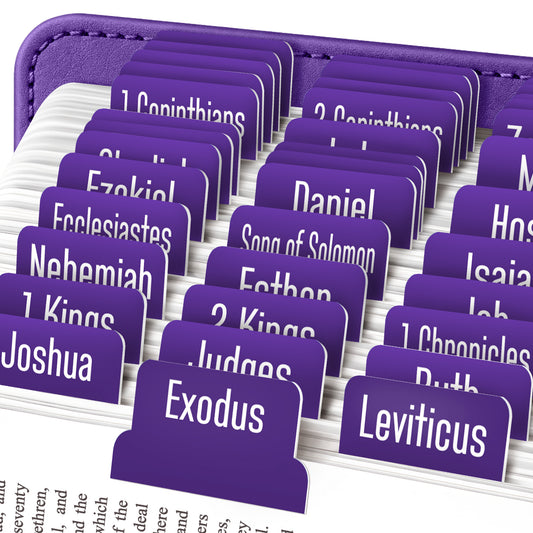 Tab & Verse – Indigo Monochrome Bible Tabs